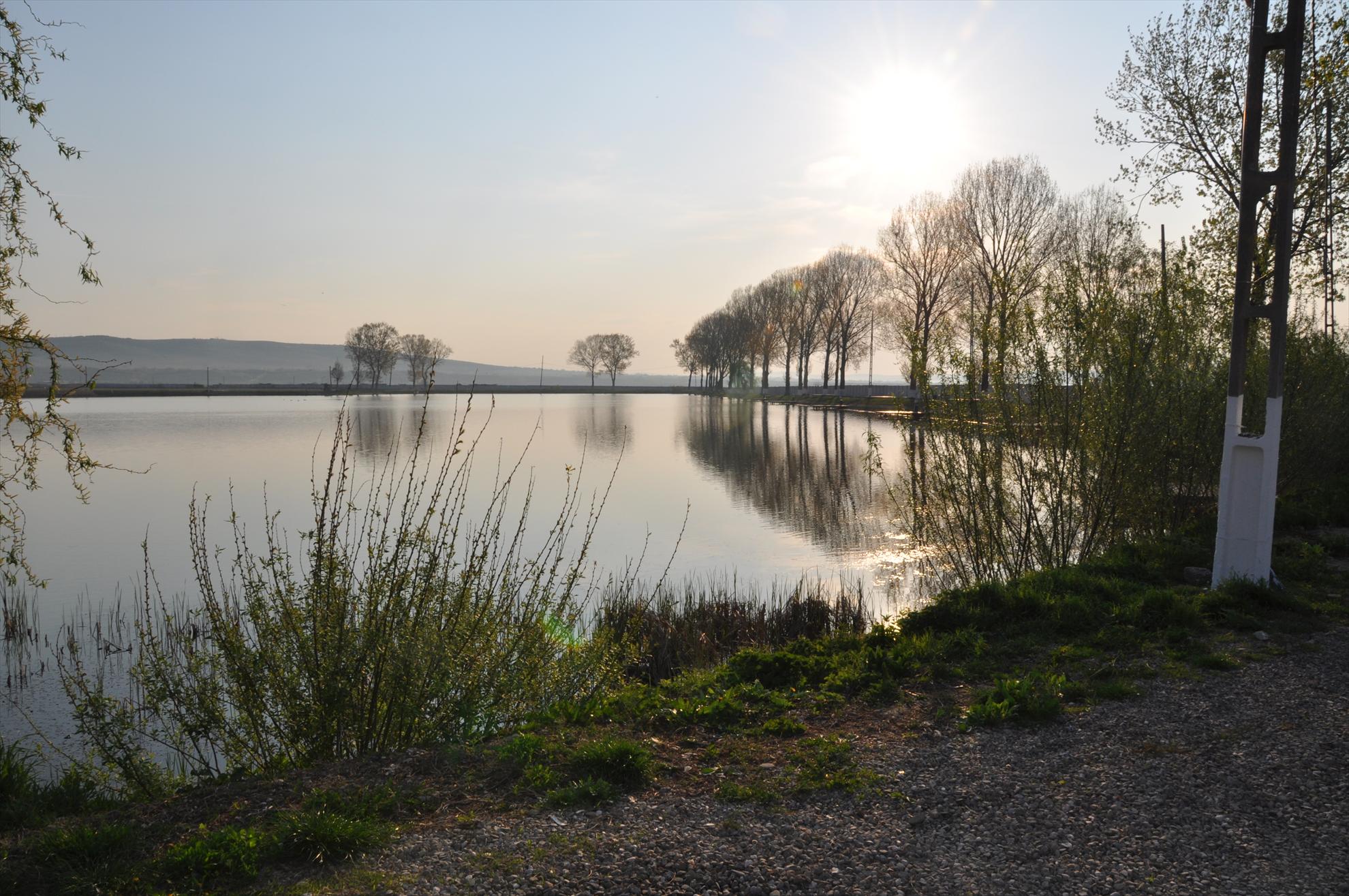 GALERIE FOTO TROFEUL USAMV - PLEASA - dsc0463.JPG